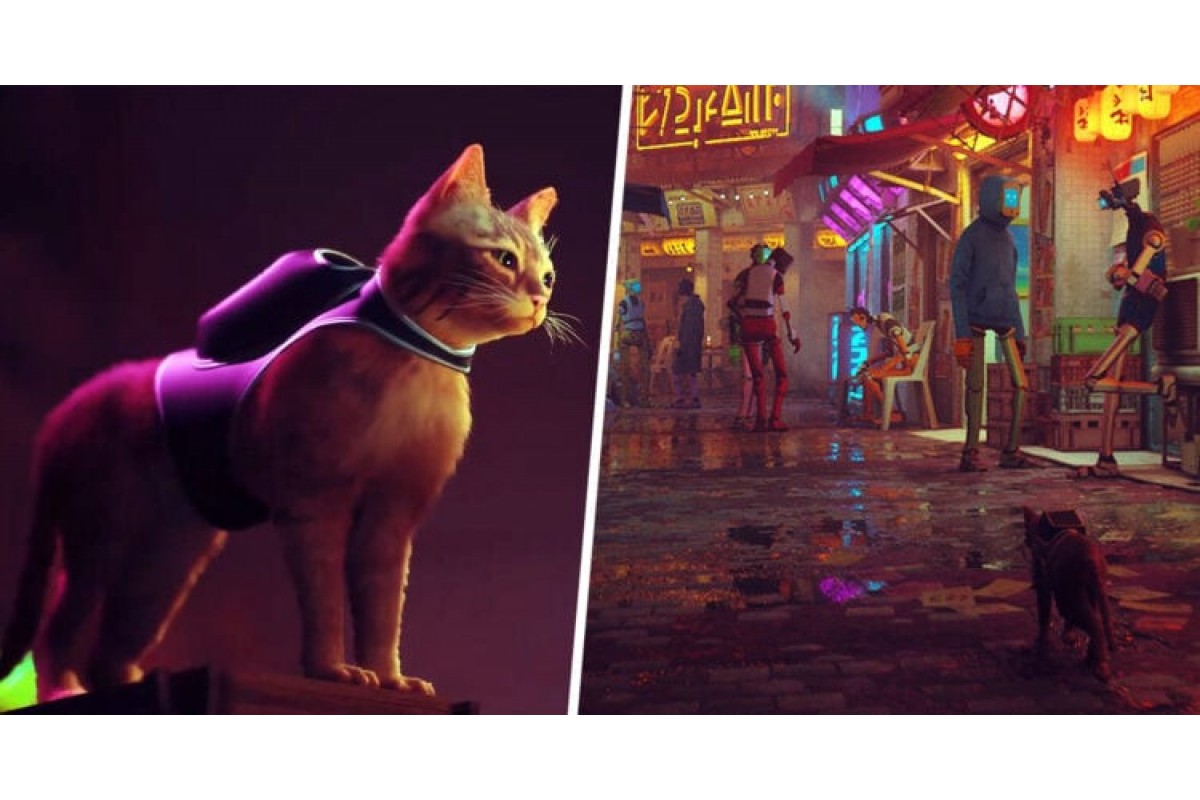 Бесплатная игра i am cat. Stray игра. Stray Cat игра. Stray Cats 2022. Stray Cyberpunk.