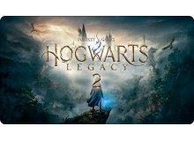 Warner Bros. сообщила, что продолжение Hogwarts Legacy является одним из главных приоритетов компании