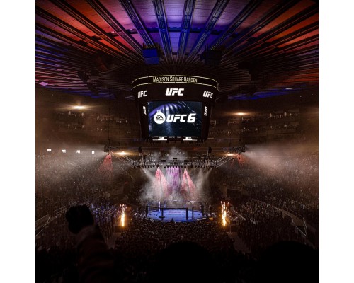 UFC 6 (PPSA 23566) [PS5 Английская версия]
