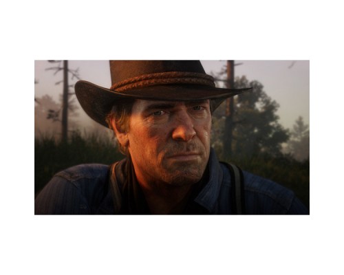 Red dead Redemption 2 [PS4] Русские субтитры