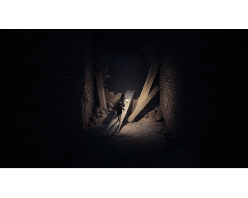 REANIMAL (PPSA23372) [PS5 Русская версия Б.У]