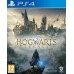 Hogwarts Legacy [PS4, русские субтитры]