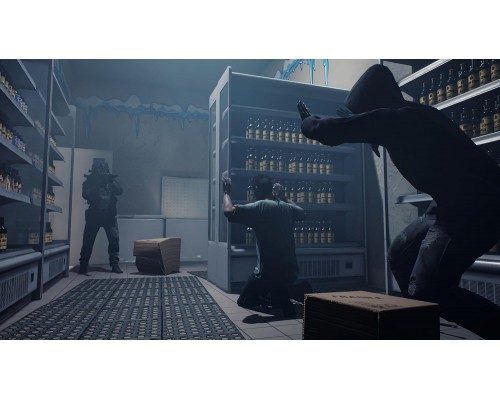 Ready Or Not (PPSA 18605) [PS5 Русские субтитры Б.У]