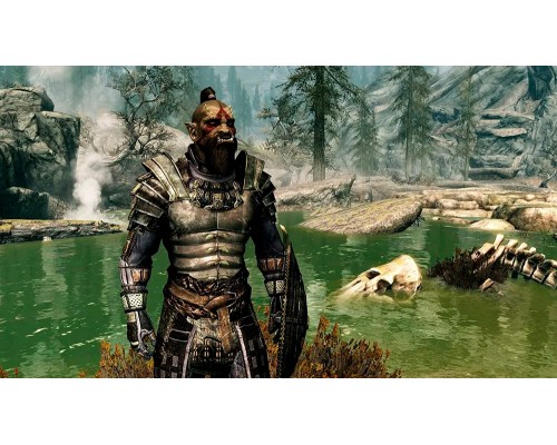 Игра Elder Scrolls V Skyrim (Nintendo Switch)