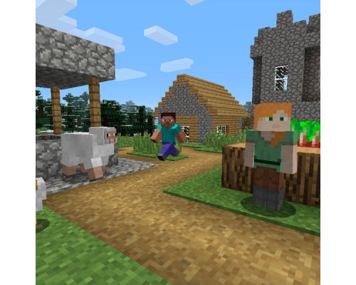 NS Minecraft