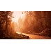 Pacific Drive (PPSA 17476) [PS5 Русские субтитры]