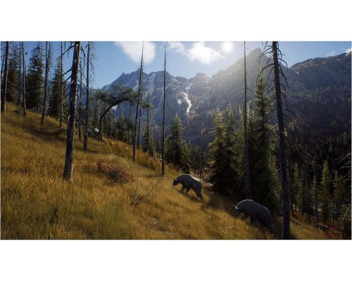 Way of the Hunter (PPSA 0573) [PS5 Русские субтитры]