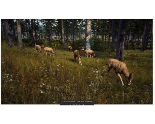 Way of the Hunter (PPSA 0573) [PS5 Русские субтитры]