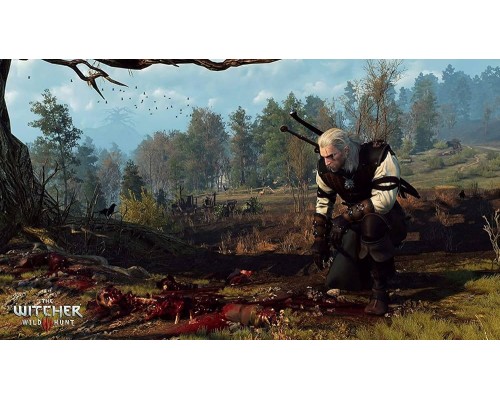 NS The Witcher 3: Wild Hunt