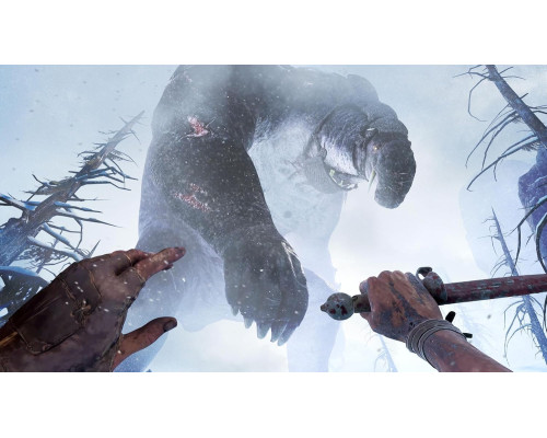 Skydance's Behemoth (PPSA04962) [PS5 Английская версия]