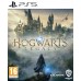 Hogwarts Legacy [PS5, русские субтитры Б.У]