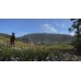 Kingdom Come: Deliverance - Royal Edition (PPSA 28784) [Русские субтитры PS5]