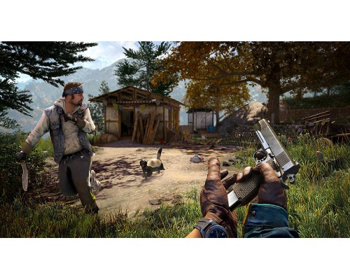 Far Cry 4 + Far Cry Primal (CUSA 00462, 03310) [PS4 Русская версия]