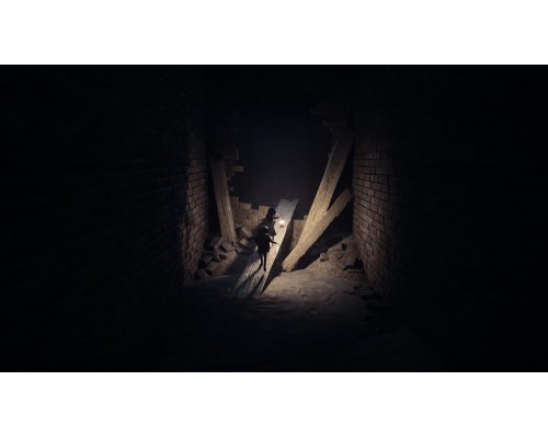REANIMAL (PPSA23372) [PS5 Русская версия]