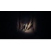 REANIMAL (PPSA23372) [PS5 Русская версия]