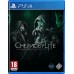 Chernobylite [PS4, русская версия]